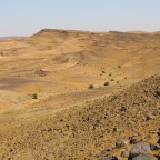 After Action/Race Report Updates