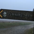 My Spine Race Report