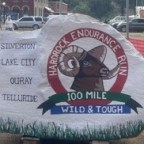 A Gratitude Attitude